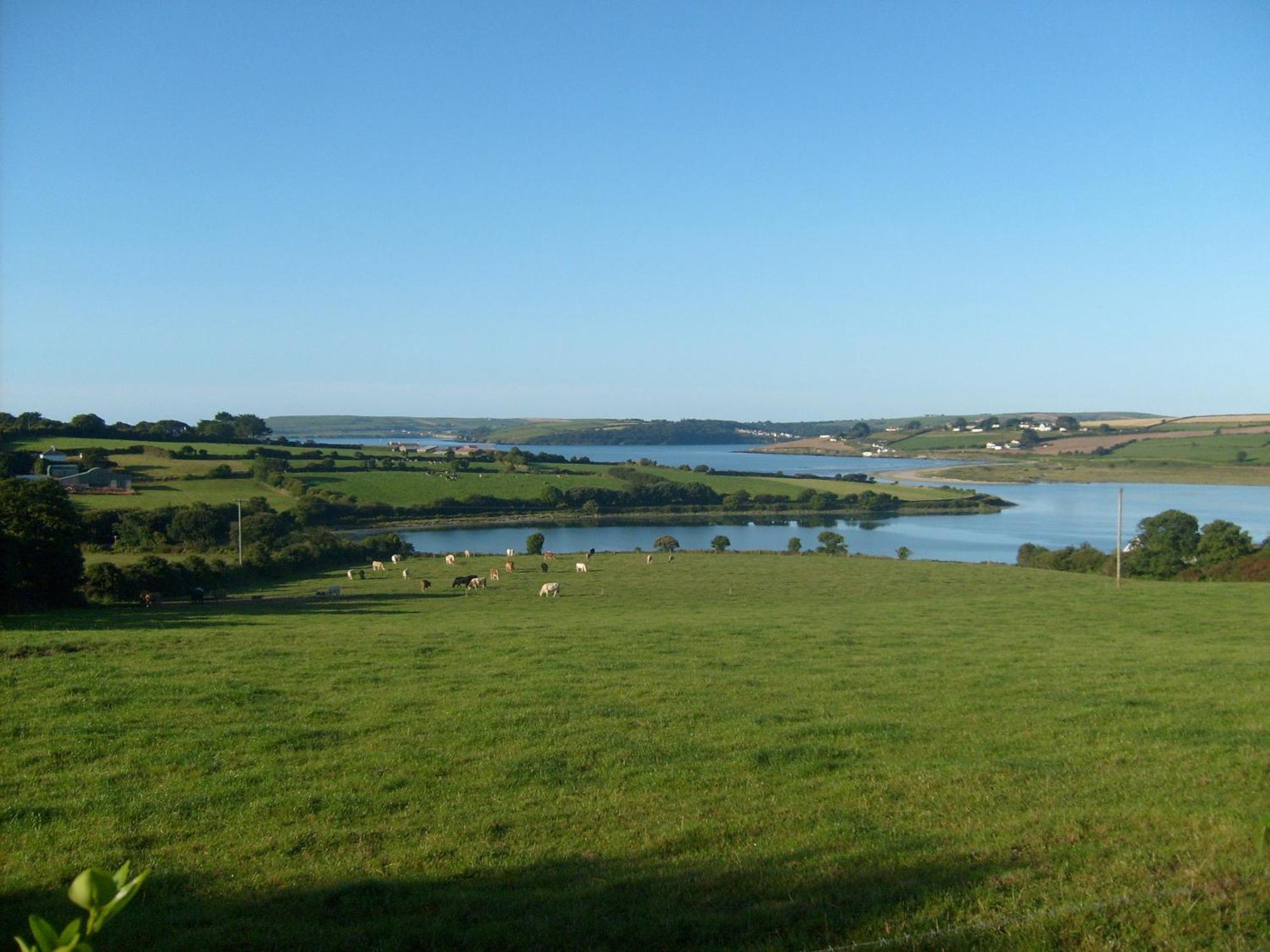 Seafield Farmhouse Kilbrittain Bagian luar foto